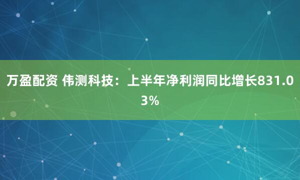 万盈配资 伟测科技：上半年净利润同比增长831.03%